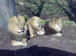 20081129.jpg