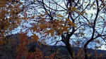 200911221331001.jpg