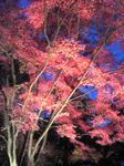 Image021.jpg