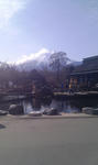 IMAG0038.jpg