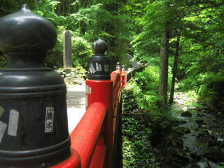 IMG_9540.jpg