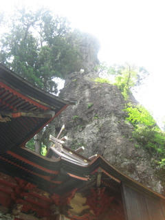 IMG_9571.jpg