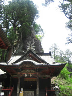 IMG_9573.jpg