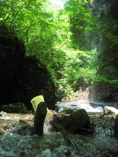 IMG_9575.jpg