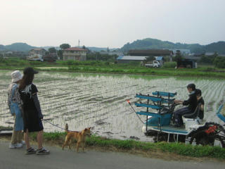 IMG_9925.jpg