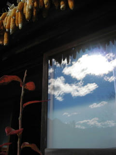IMG_1234.jpg