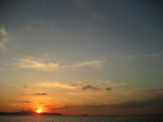 IMG_1342.jpg