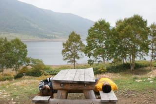 DSC02524.jpg