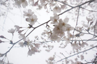 DSC03967.jpg