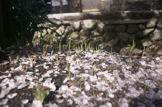 DSC04023.jpg