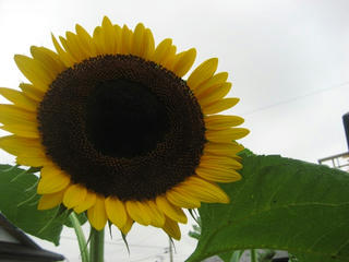 IMG_4092.jpg