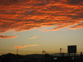 IMG_4171.jpg