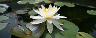 DSC04612.jpg