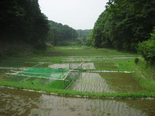 IMG_4355.jpg
