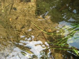 IMG_4364.jpg