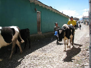 IMG_0463.jpg
