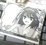 haruhi01.JPG