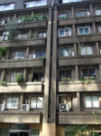 DSCF3482.JPG