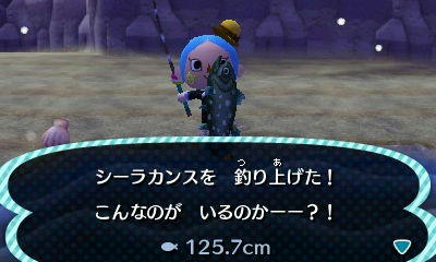 シーラカンス