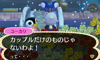 ユーカリ２