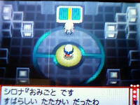 Vsシロナ マピコの旅 ネタバレに気をつけて