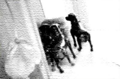３