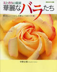 rxyxu10-img473x600-1269759409o16l0x35890.jpg