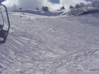 20090217132453.jpg