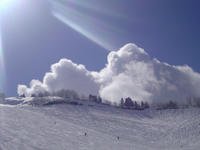 20090217132313.jpg