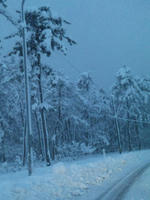 DVC00041.jpg