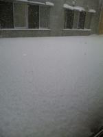 DVC00042.jpg