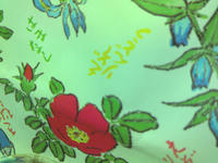 PICT0033.JPG
