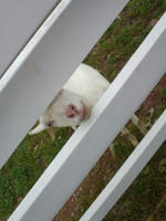 DCF00037.jpg