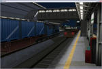 minamo4-5.JPG