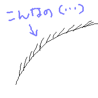 446.png