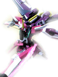 Image338.jpg