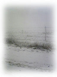 Image346.jpg