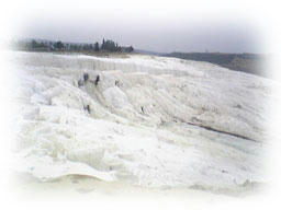 Image352.jpg