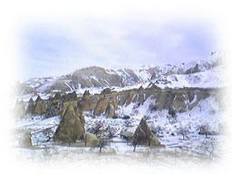 Image3601.jpg