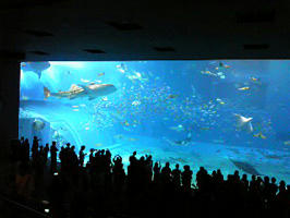 090215_1440581.jpg
