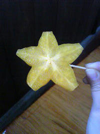 090216_1256051.jpg