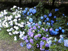 090621_1158051.jpg