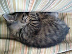 PA0_0243.JPG