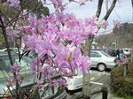 P1000069.JPG