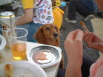 DSCF1798.JPG