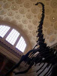 08083105.JPG