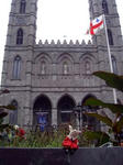 08091503.JPG