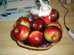 09020401.JPG