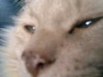 090308.JPG
