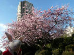 090406.JPG
